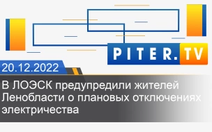 В ЛОЭСК предупредили жителей Ленобласти о плановых отключениях электричества