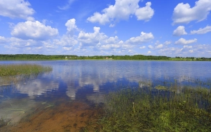 В Роспотребнадзоре назвали водоемы Ленобласти, где еще можно купаться