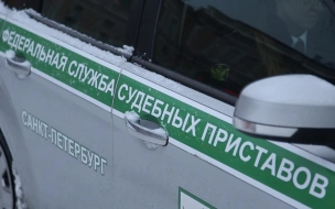 Петербургские дольщики в 2023 году получили около 144 миллионов рублей неустойки