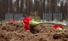 Останки 104 красноармейцев предали земле вблизи Кузьминского