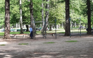 В Удельном парке петербуржцы предложили сделать танцевальные площадки