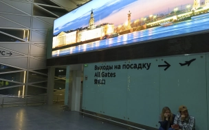 Обслуживание рейсов возобновили в Пулково