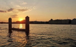 Летом 2023 года в Петербурге солнце светило почти каждый день