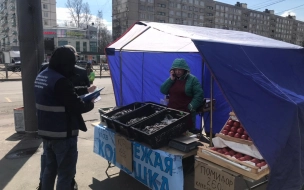 В Петербурге снесли незаконные точки по продаже корюшки