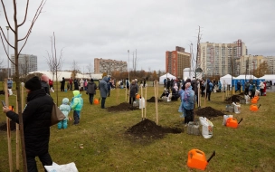 В Полюстровском парке жители Петербурга высадили 27 лип