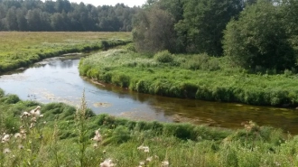 Дно реки Коваши начнут чистить в 2022 году