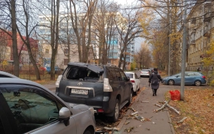 МЧС предупредил петербуржцев о сильном ветре в пятницу