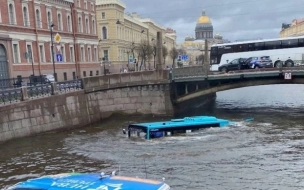 Бастрыкин поручил проверить работу петербургских перевозчиков  общественного транспорта