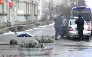 Женщина упала с высоты на Дунайском проспекте в Петербурге
