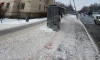 Возбуждено уголовное дело по факту покушения на убийство двух мужчин на Светлановском проспекте