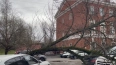 Дерево упало на автомобили на Рузовской