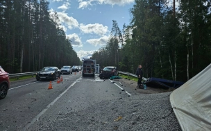 На трассе "Сортавала" в массовом ДТП погибли два водителя