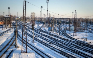 В Ленобласти двое молодых людей похитили более 50 ж/д деталей весом 1,5 тонны