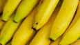 Россельхознадзор выявил партию заражённых бананов ...