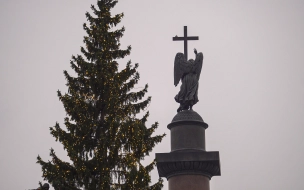 Петербург 28 декабря вернется в климатическую норму