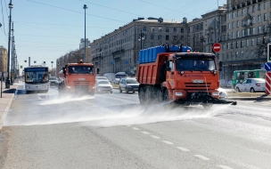 Пыльные дороги объяснили нехваткой техники и снежной зимой в Петербурге