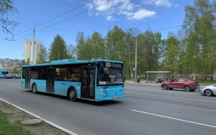 Четыре автобуса в трех районах Петербурга поменяют свой маршрут с 1 сентября