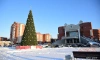В Сосновом Бору 15 декабря состоится торжественное открытие новогодней ёлки