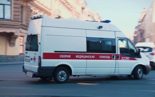 Пешехода сбили насмерть на трассе "Петербург – Колтуши"