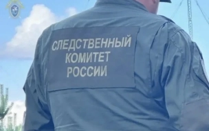 СК возбудил дело после гибели актера из "Бригады" Высоковского в Подмосковье
