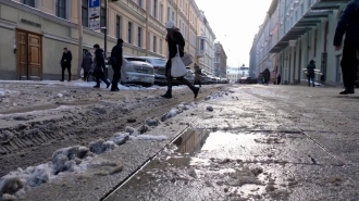 После снега в Петербург придут дожди