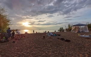 "Свиньин пляж" на берегу Невской губы приведут в порядок к 2023 году