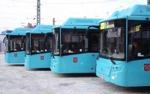 В разных районах Петербурга на маршруты выйдут 65 новых экологичных автобусов