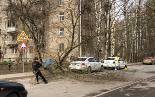 В Петербурге 19 апреля ожидаются метель и порывы ветра до 17 м/с