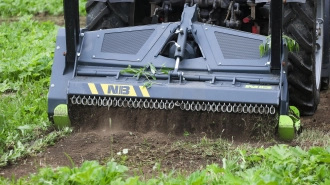В Петербурге начали применять мульчирование почвы для борьбы с борщевиком