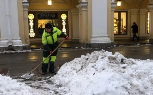 Спрос на дворников в Петербурге вырос на 30%