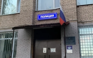 В Петербурге ищут совратителей 13-летней девочки
