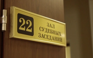 Суд Петербурга отправил на принудительное наблюдение у психиатра юношу за нацистское приветствие
