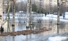 В Ленобласти 24 марта ожидается до +9 градусов и снег с дождём