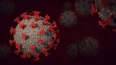Японские ученые заявили, что "омикрон"-штамм коронавируса ...