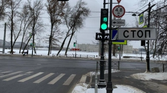 72 светофора в Петербурге оборудуют секциями для предупреждения водителей о пешеходах