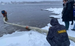 Под Новый год в Ладогу выпустили более 60 тысяч мальков