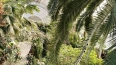 В 2024 году оранжереи Таврического сада превратят ...