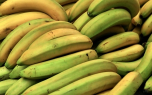 С начала года в Петербург привезли 236 тысяч тонн бананов