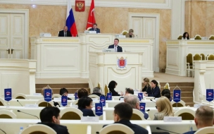 Петербургские депутаты выступили за усиление контроля пациентов ПНД  после трагедии в Ижевске