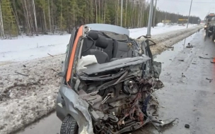 В лобовой аварии с грузовиком погиб человек на трассе "Скандинавия"