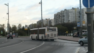 Автобус №261 свяжет новые кварталы Васильевского острова с метро 