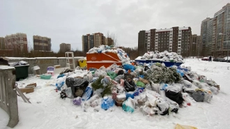 Смольный пообещал наладить плановый вывоз мусора в Петербурге до конца января
