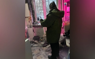 Бастрыкину доложат о расследовании убийства женщины в Красногвардейском районе