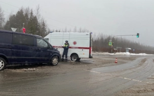 В Сусанино "Мерседес" врезался в карету "скорой помощи"