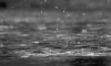 В Ленобласти 29 марта в большинстве районов пройдут дожди