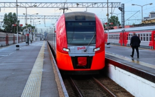 Станцию "Девяткино" планируют присоединить к новой железнодорожной линии
