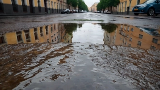 МЧС: 23 августа в Петербурге ожидаются ливни и град