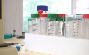 Закупка вакцин по национальному календарю завершилась в Ленобласти