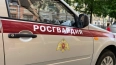 В Петербурге росгвардейцы задержали двух магазинных ...