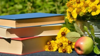 До конца августа школьники могут получить бесплатно книги и доступ к онлайн-библиотеке в "Пятёрочке"